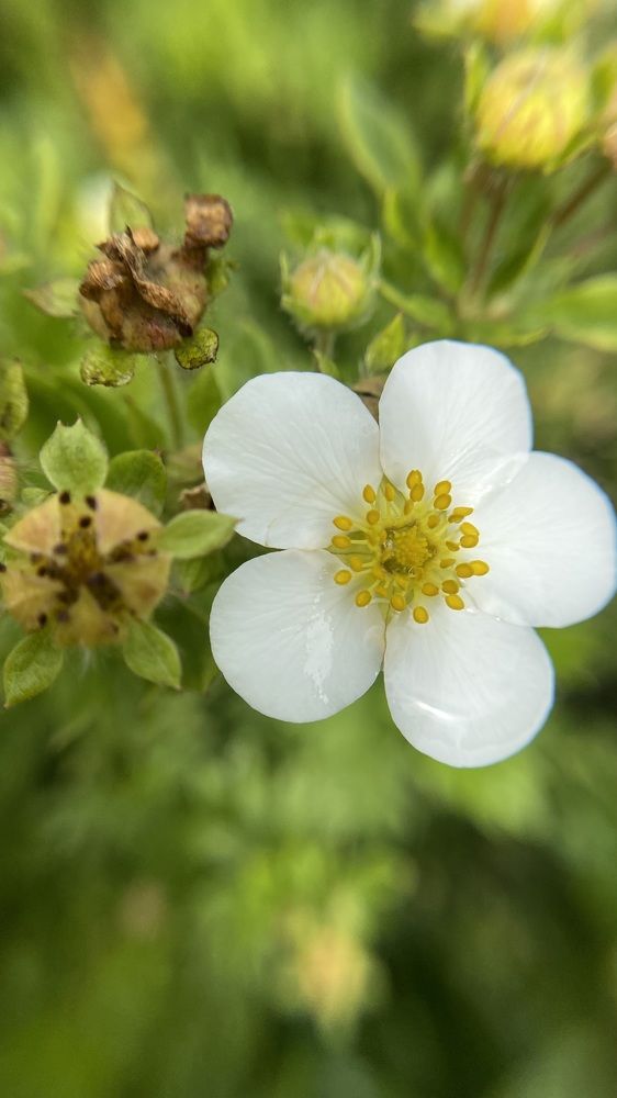 Photograph by Kristina Domanina