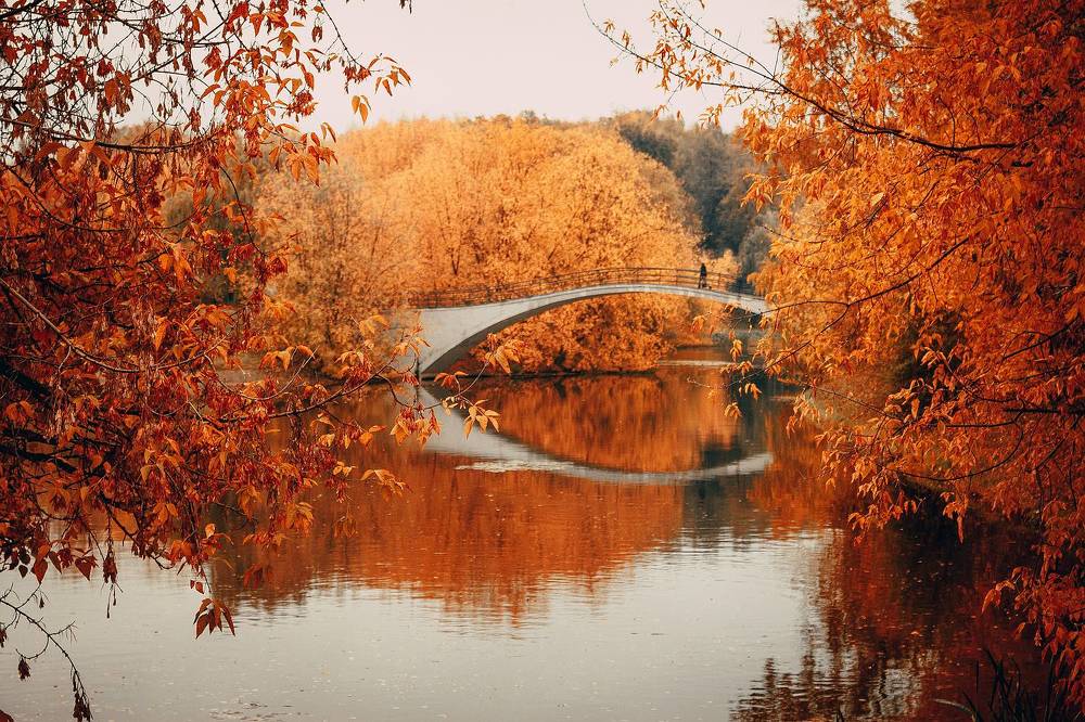 Photograph by Марина Володько