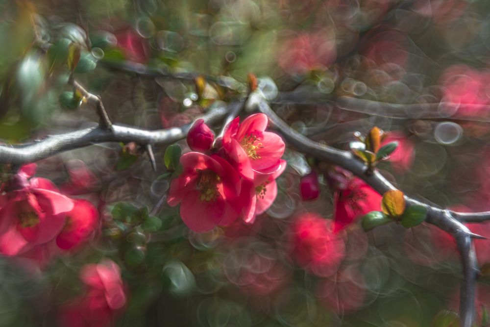 Photograph by Алексей Мякота
