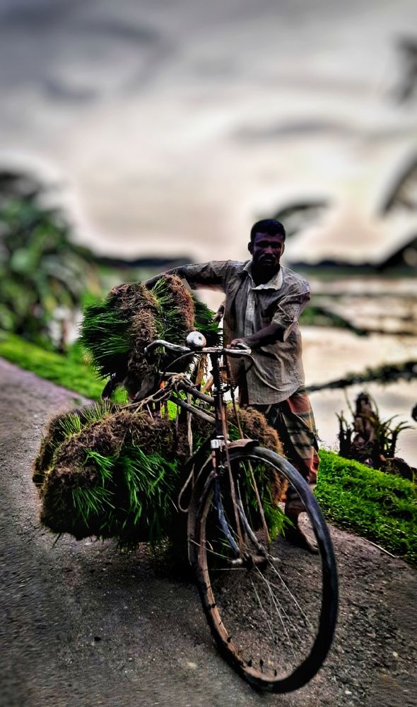 Be farmer