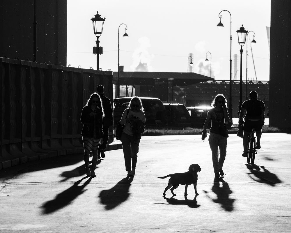 Photograph by Марина Терещенко