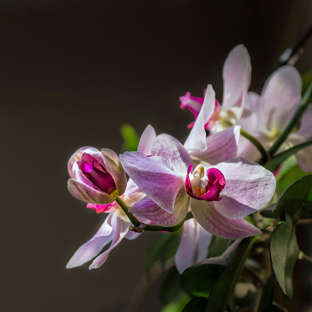 Photograph by Марина Ческис