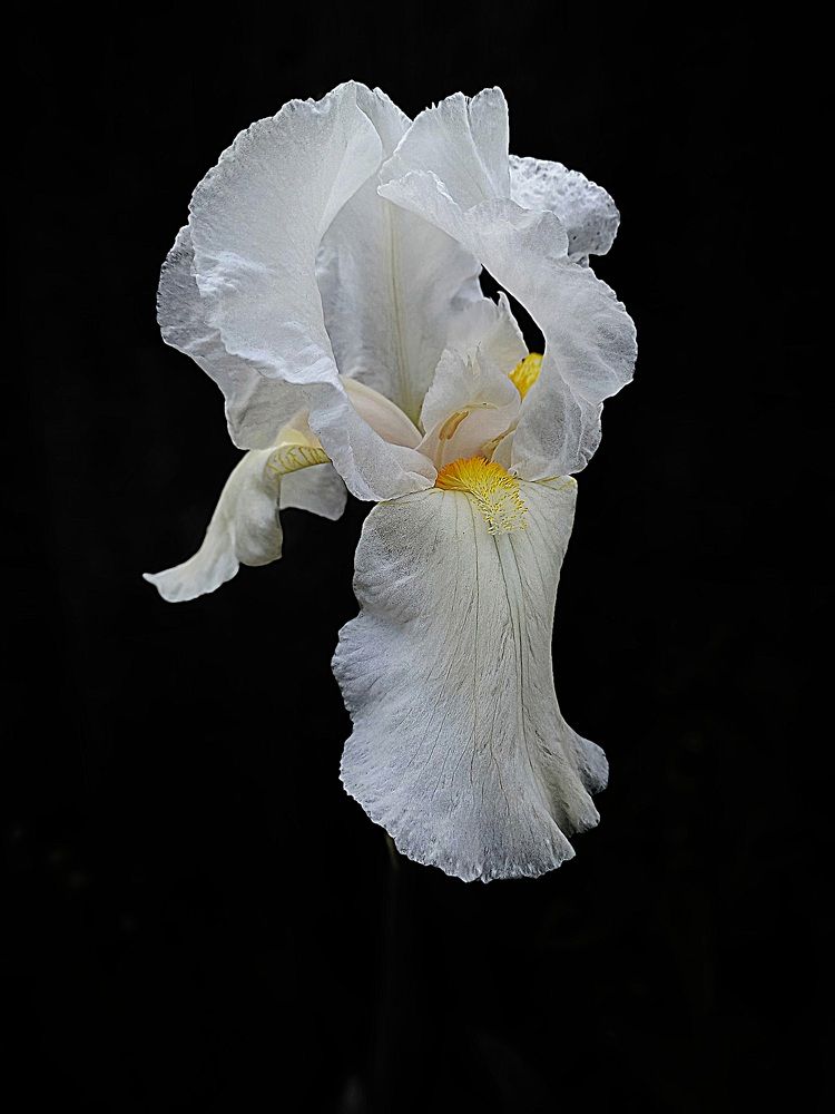 Photograph by Елена Никитина