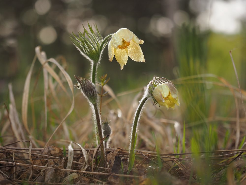 Photograph by Александр Попов