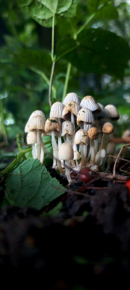 Photograph by Каковкина Ольга