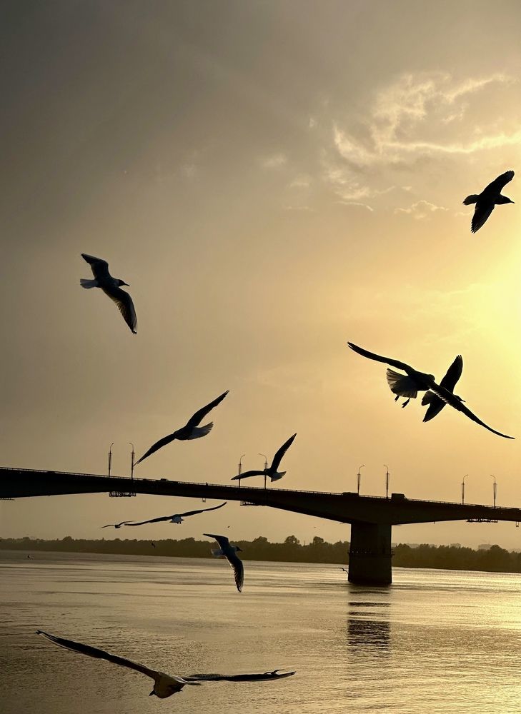 Photograph by Гуляева Светлана