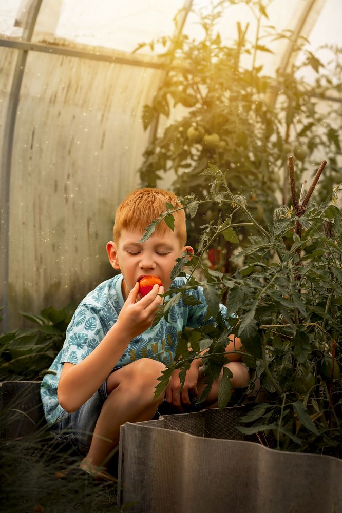 Фотография автора Виолетта Лукьянович