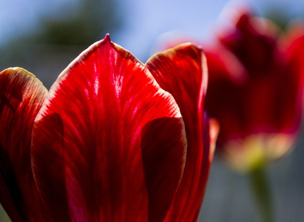 Photograph by Елизавета Большакова