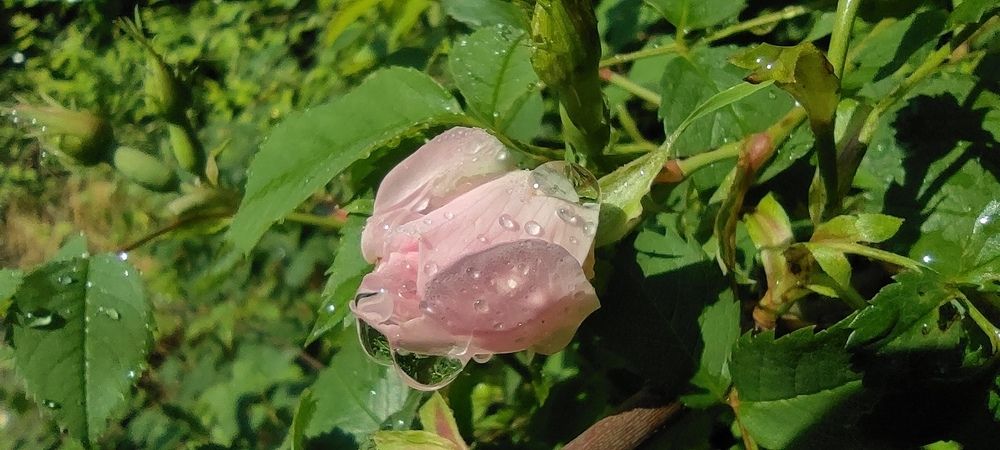 Photograph by Kramolinski Krasimir