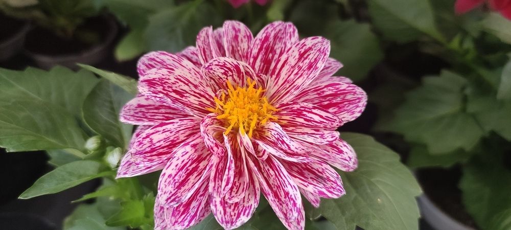 Photograph by Kramolinski Krasimir