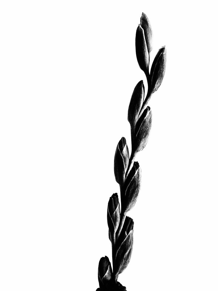 Photograph by Ольга Мандрыкина