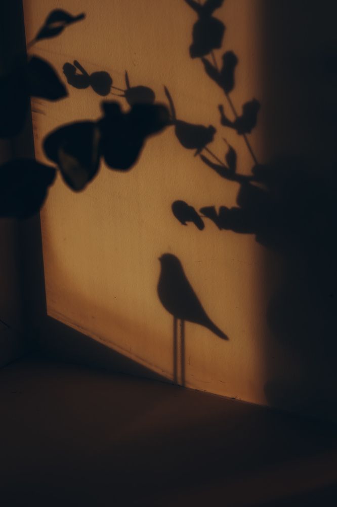 Photograph by Анна Балова