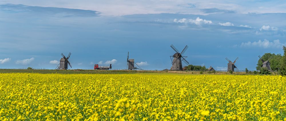 Photograph by Viktor Makarov