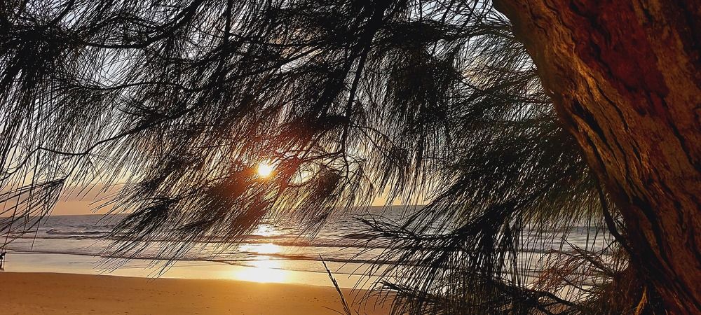 Photograph by CRINALDO REIS