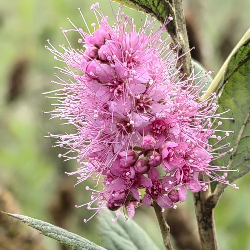 Photograph by Юрий Полушин