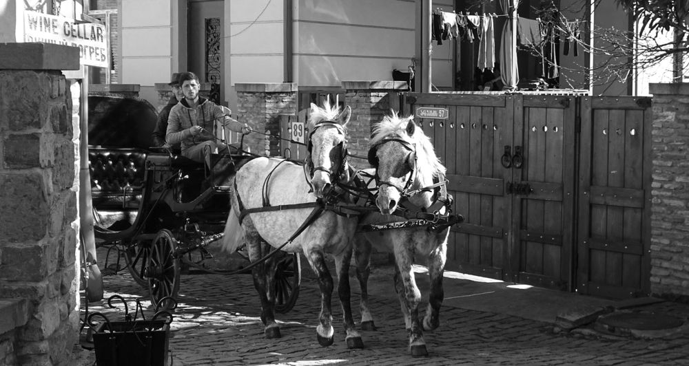 Photograph by Alex Kalpus