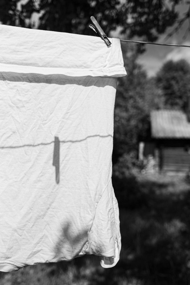 Photograph by Olga Vinogradova