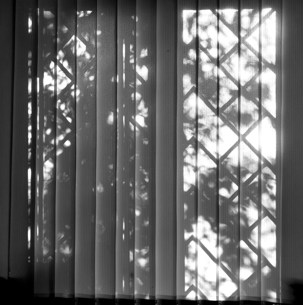 Photograph by Филоненко Николай