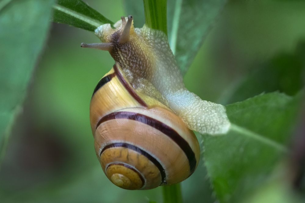 Photograph by Сергей Алексеев