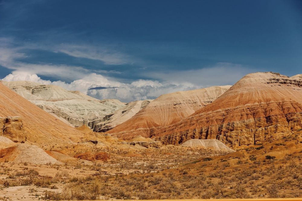 Photograph by Юлия Мальнева