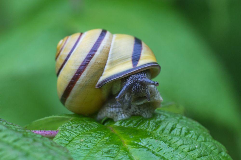 Photograph by Сергей Алексеев