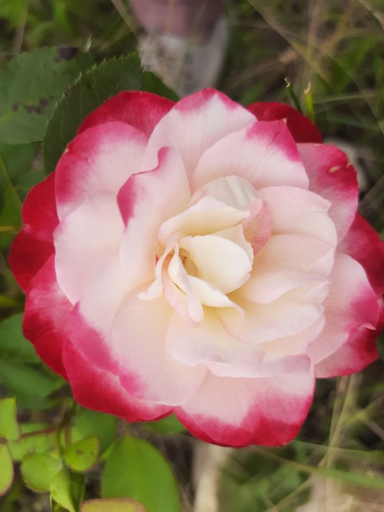 Photograph by Татьяна