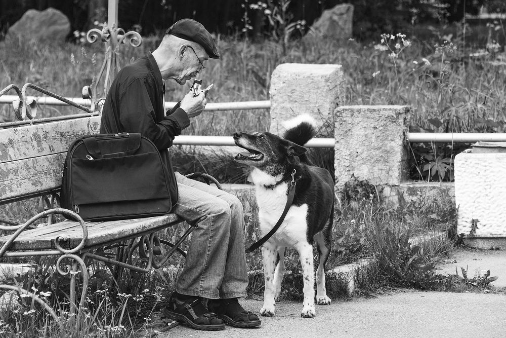 Поделись со мной