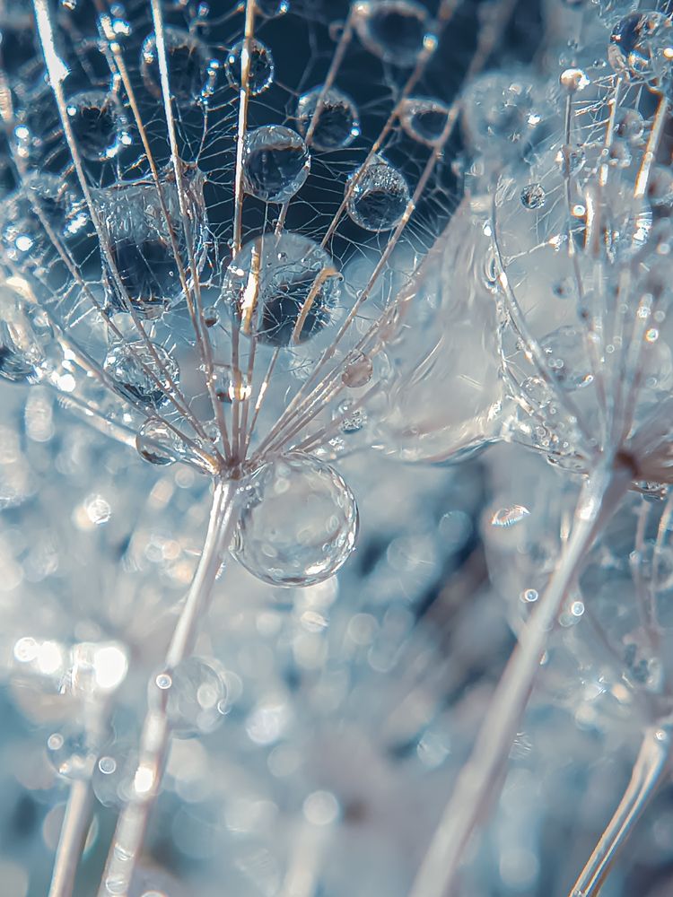 Драгоценные капли