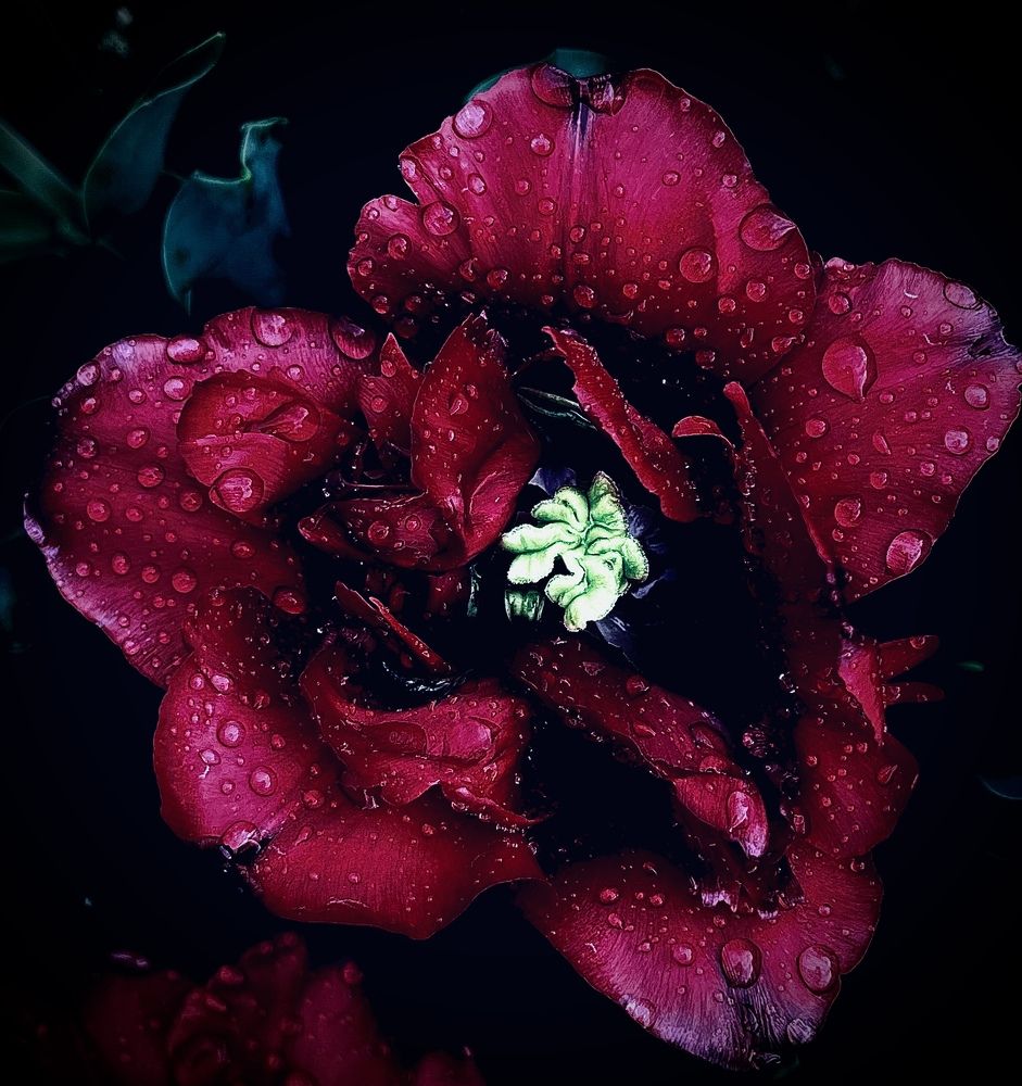 Photograph by Полина Босько