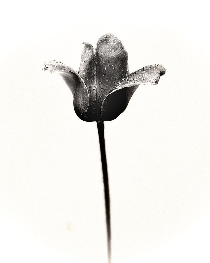 Photograph by Полина Босько