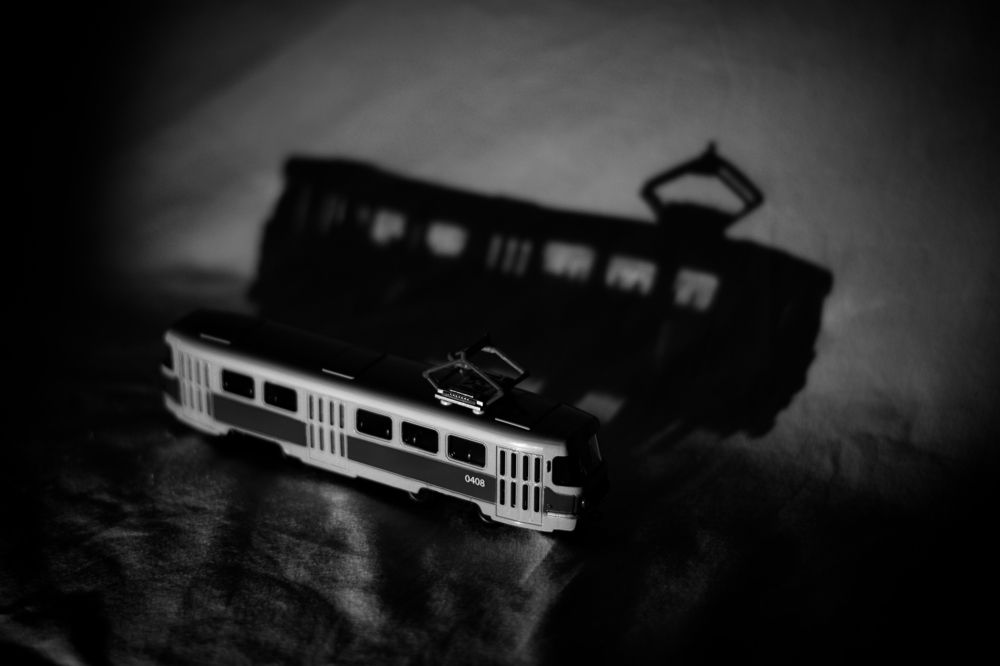 Фотография автора Ксения Вабищевич