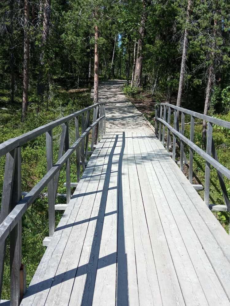 Photograph by Нина Гирнык