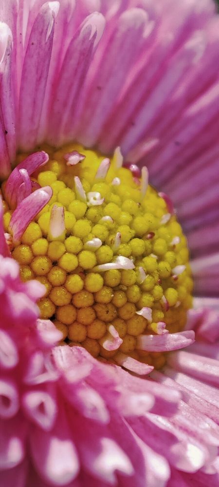 Photograph by Анна Курлова