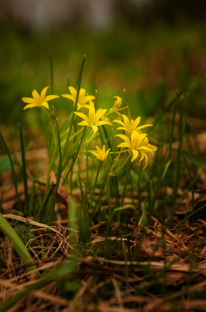 Photograph by Грязев Сергей