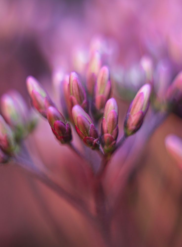 Photograph by Ольга Казакова