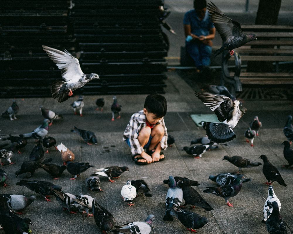 Photograph by Cường Hồ