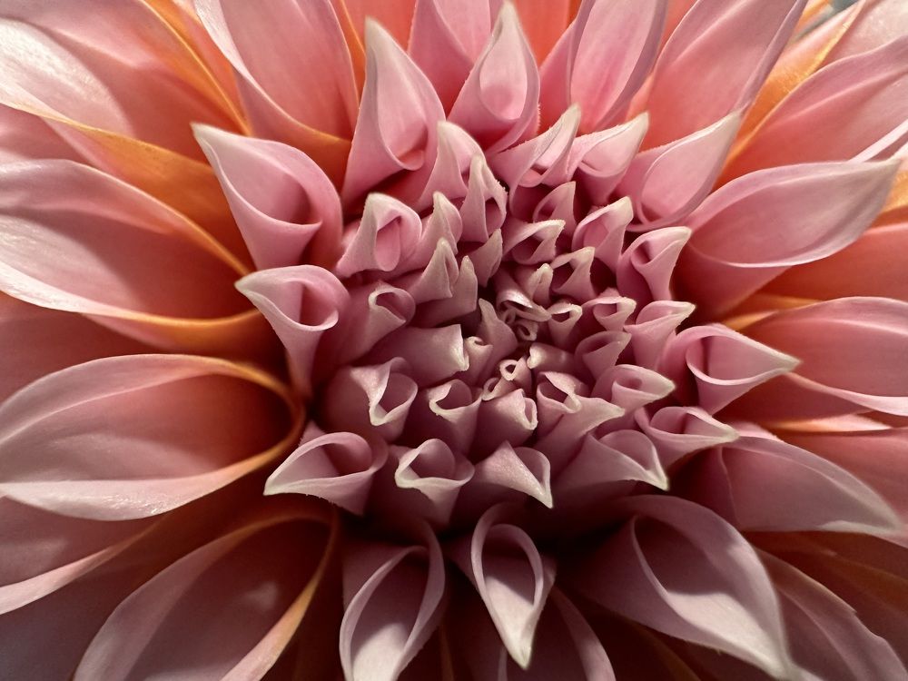 Photograph by Svetlana Rashidova