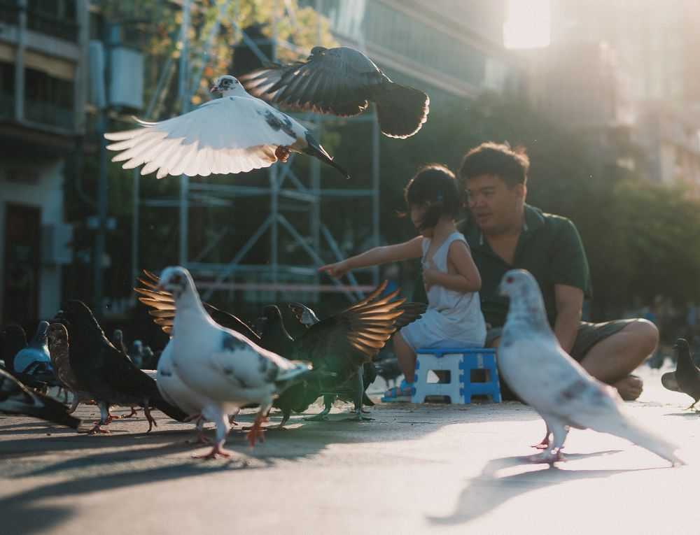 Photograph by Cường Hồ