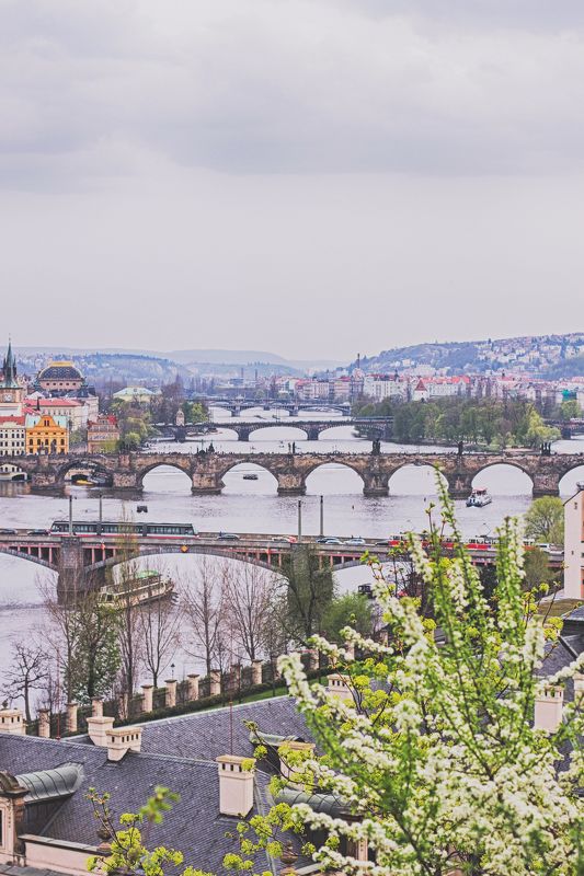 Antonio Vard, Czech Republic