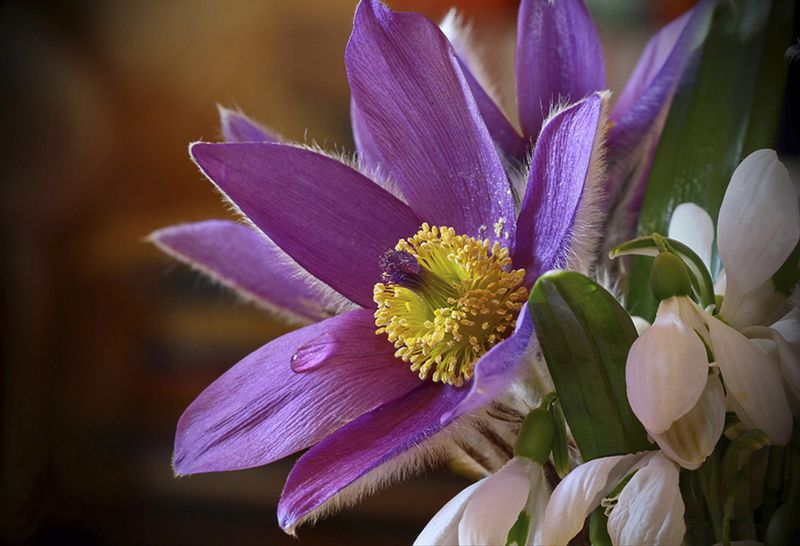 Valerij Basyrov, Russia