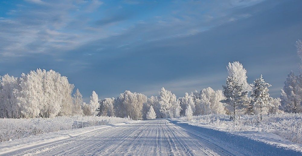 Эх,дороги...