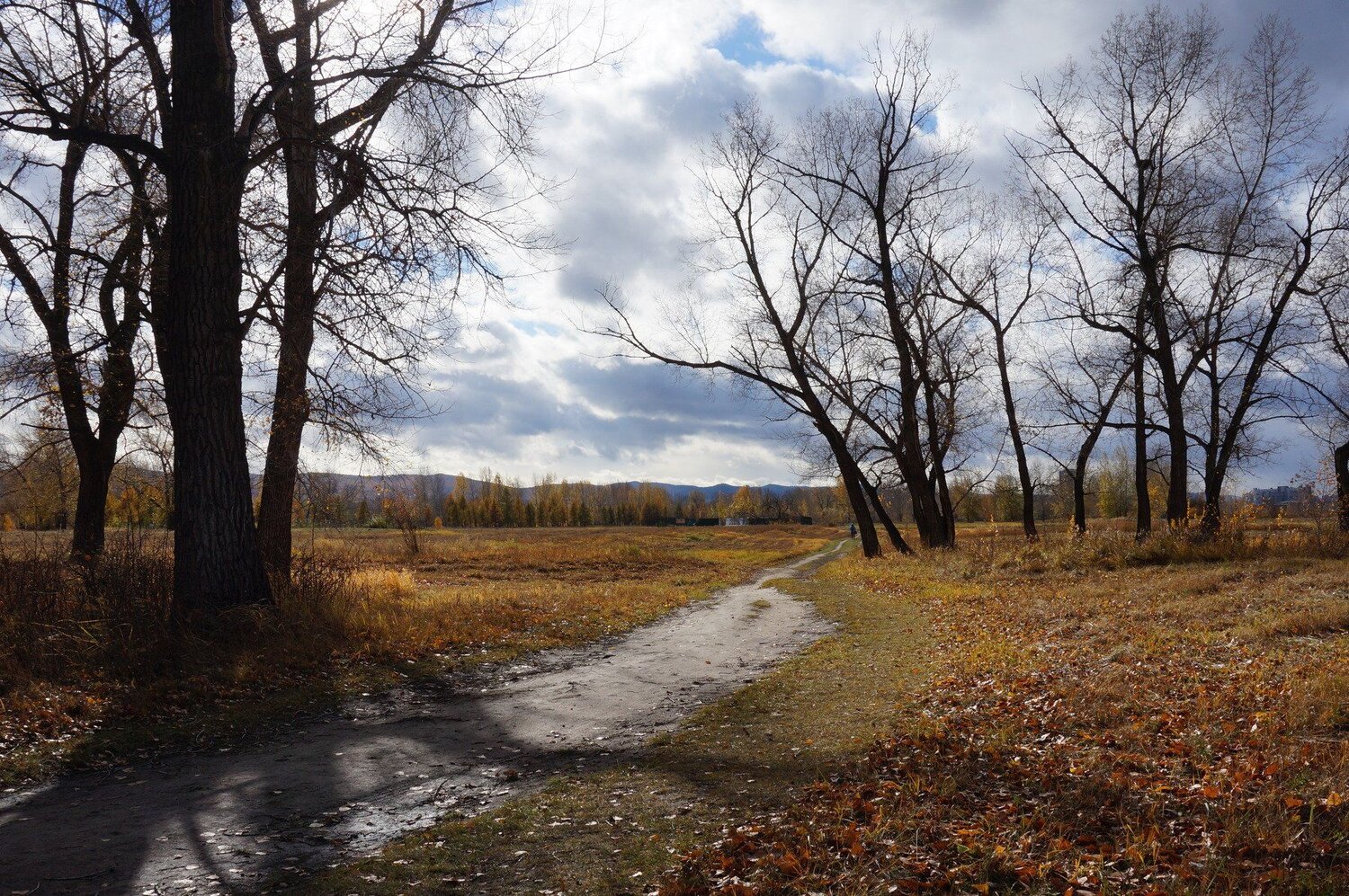 Краски осени