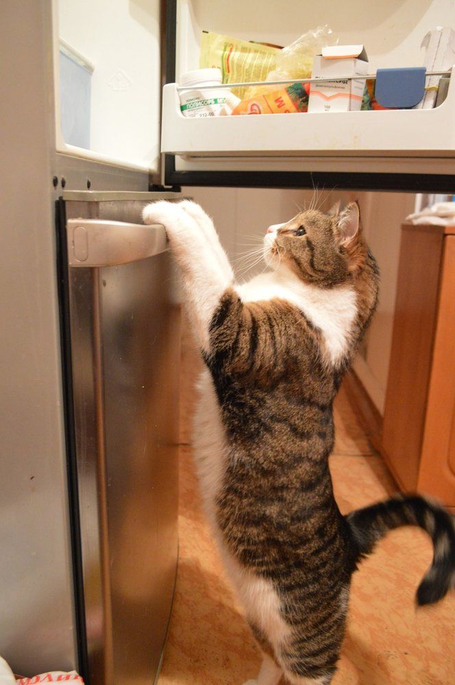 А что у вас?...