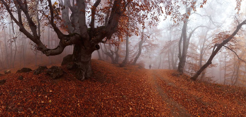 Photograph by Vladimir Kushnarev