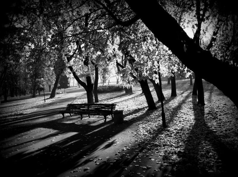 Ольга Давыдова, Ukraine