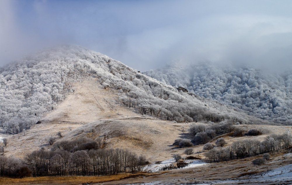 Перед бурей