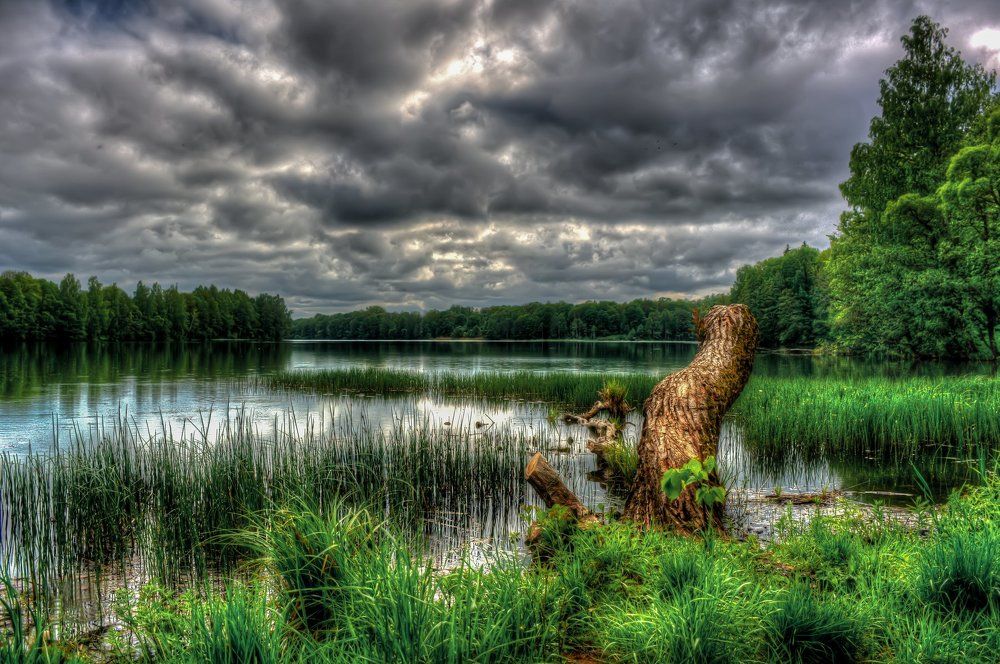 Сказочный пруд