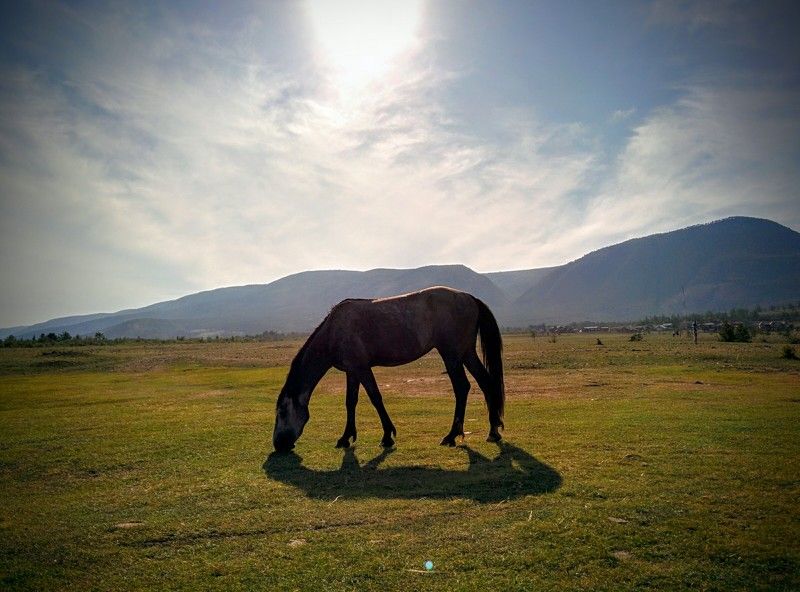 Ганеев Тимур, USA