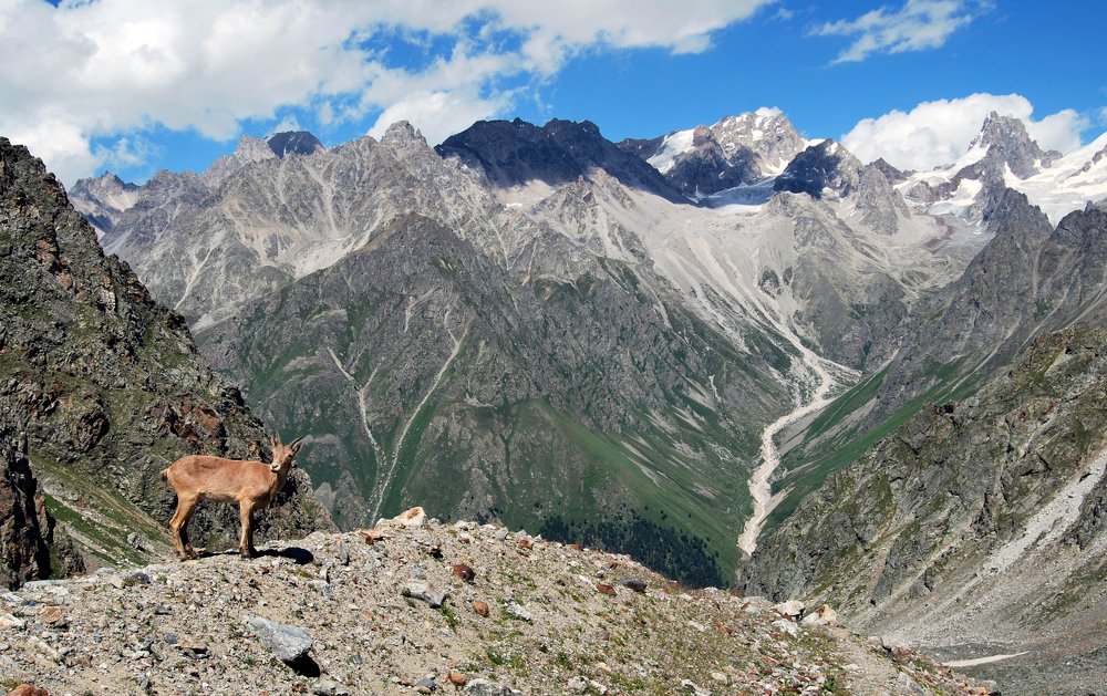 горный Кавказ