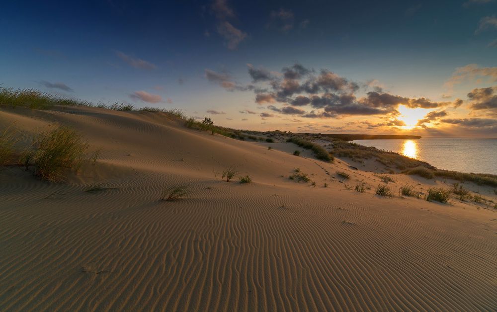 Рассвет на дюне
